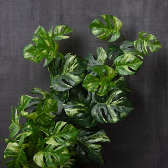 Split Hanging Philo Bush by Ashland®